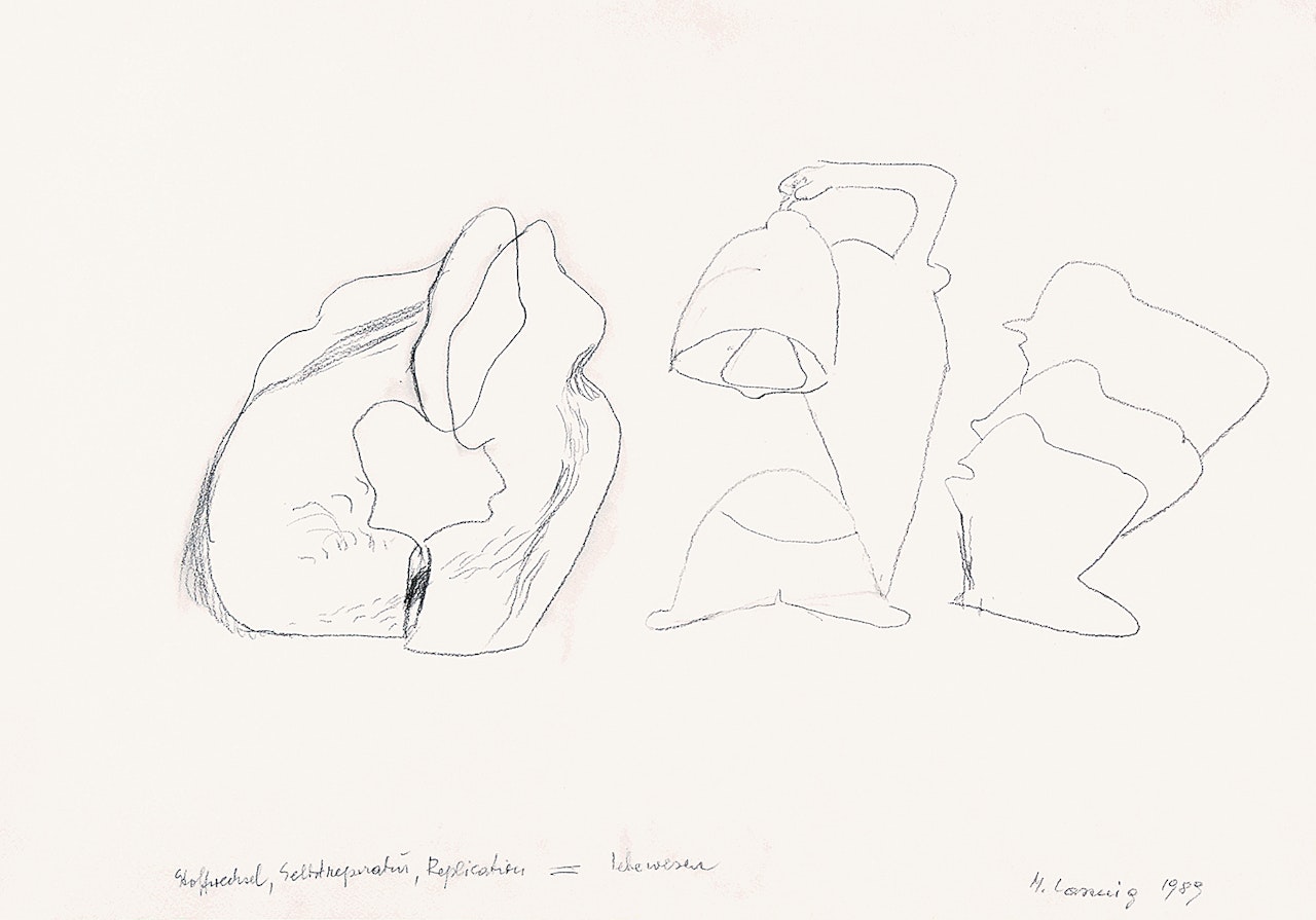 Stoffwechsel, Selbstreparatur, Replication = Lebewesen by Maria Lassnig