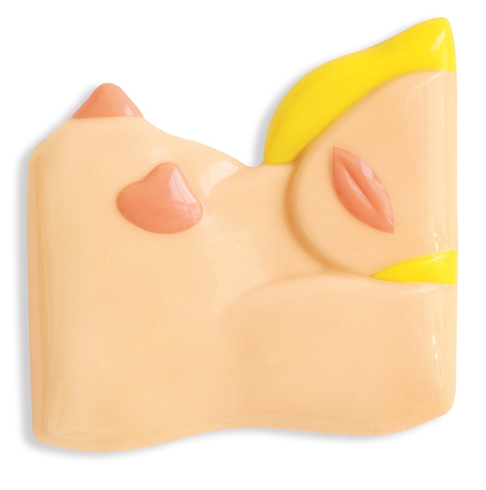 Little Nude, from "Seven Objects in a Box" by Tom Wesselmann