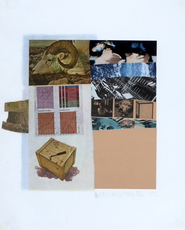Horsefeathers Thirteen I by Robert Rauschenberg