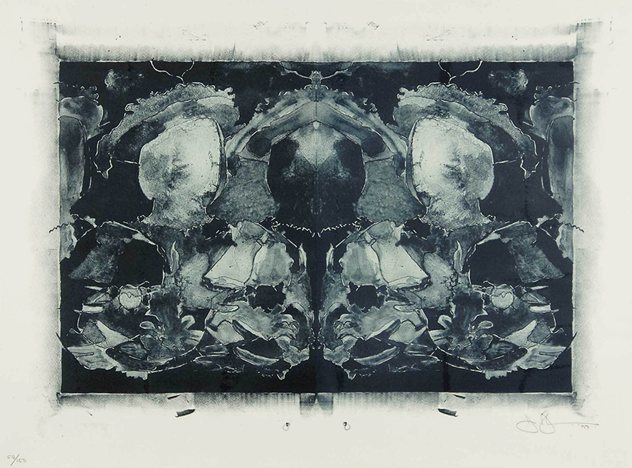 from "Artists Against Torture" by Jasper Johns