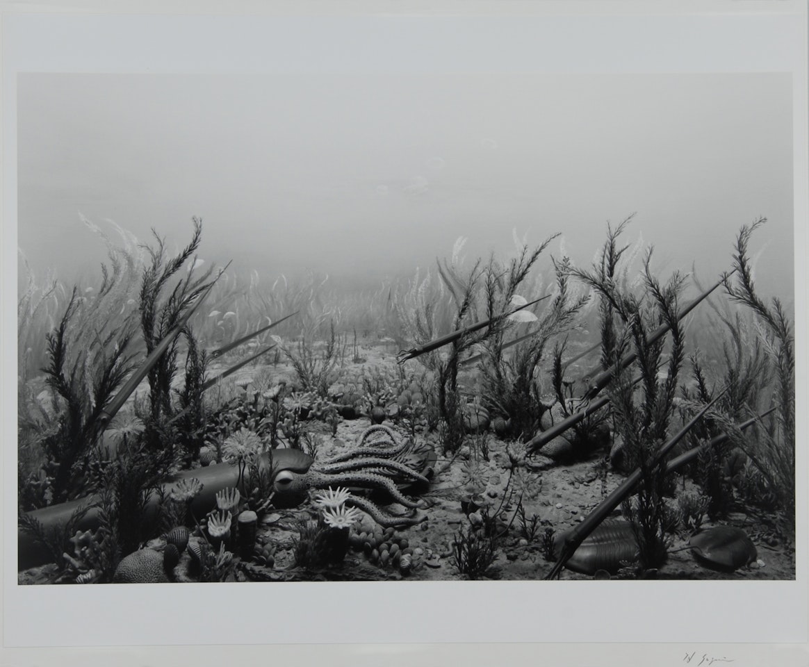 Ordovician Period by Hiroshi Sugimoto