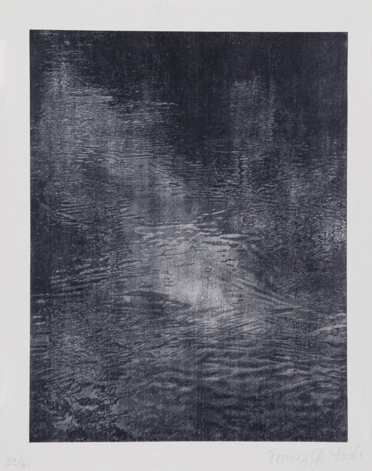 Portfolio. 5 Bilder by Franz Gertsch