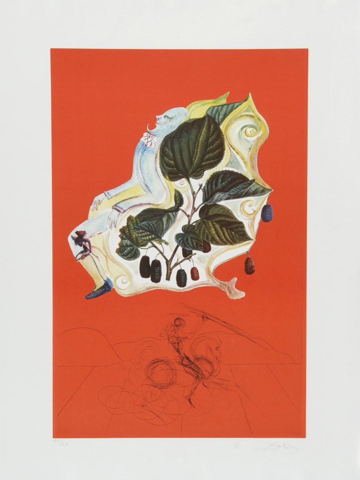 Mûre sauvages (Flordali) by Salvador Dali