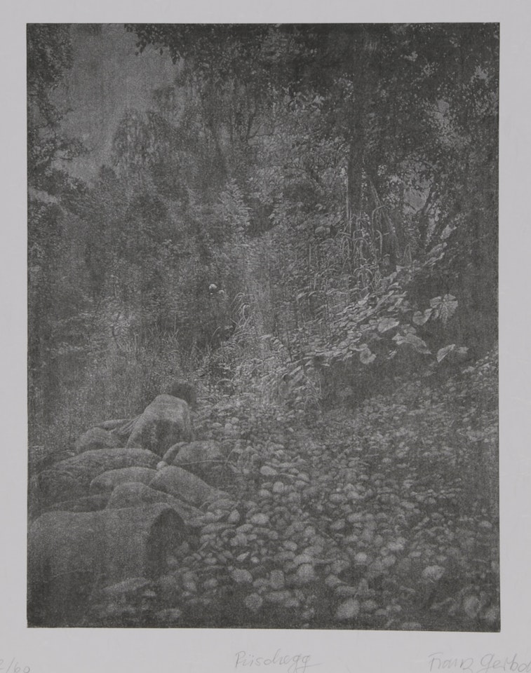 Portfolio. 5 Bilder by Franz Gertsch