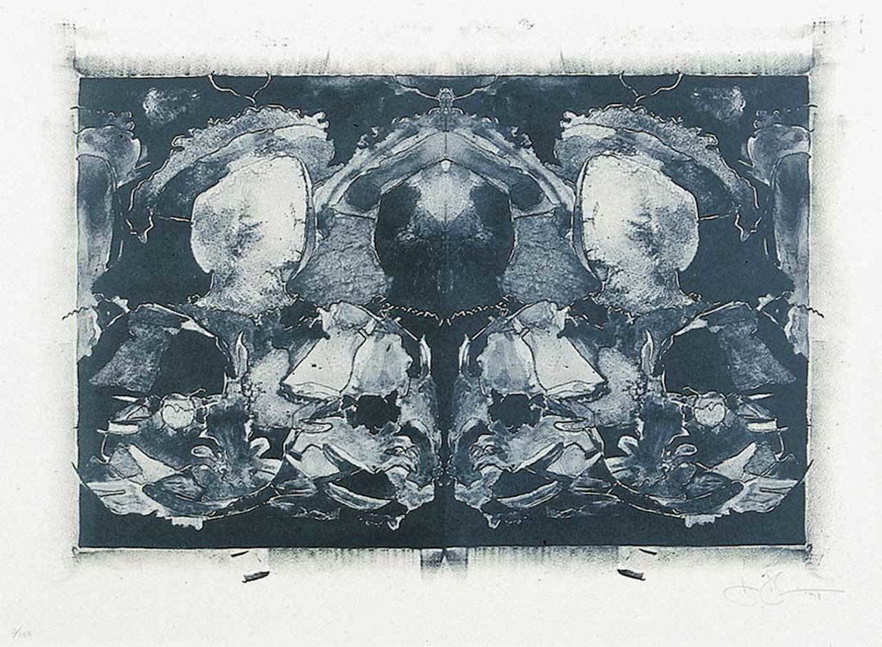 After Holbein, from "Artists against Torture" by Jasper Johns