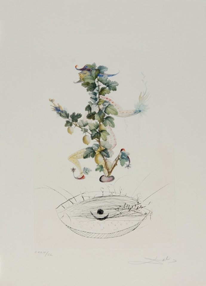 Révérence du groseillier, from "Flordali (Les Fruits) " by Salvador Dali