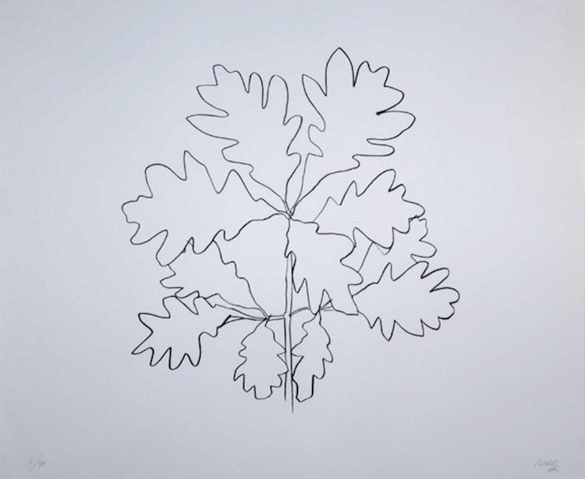 , from "Oak leaves 1993" by Ellsworth Kelly