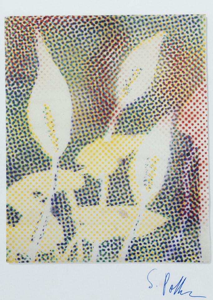 Untitled by Sigmar Polke