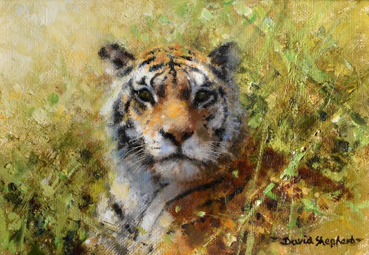 "Tiger" by David Shepherd