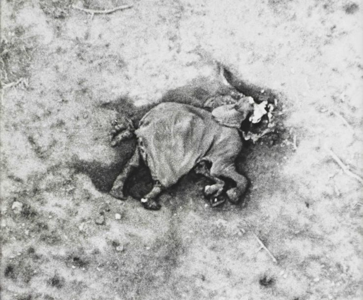 “The end of the game” by Peter Beard