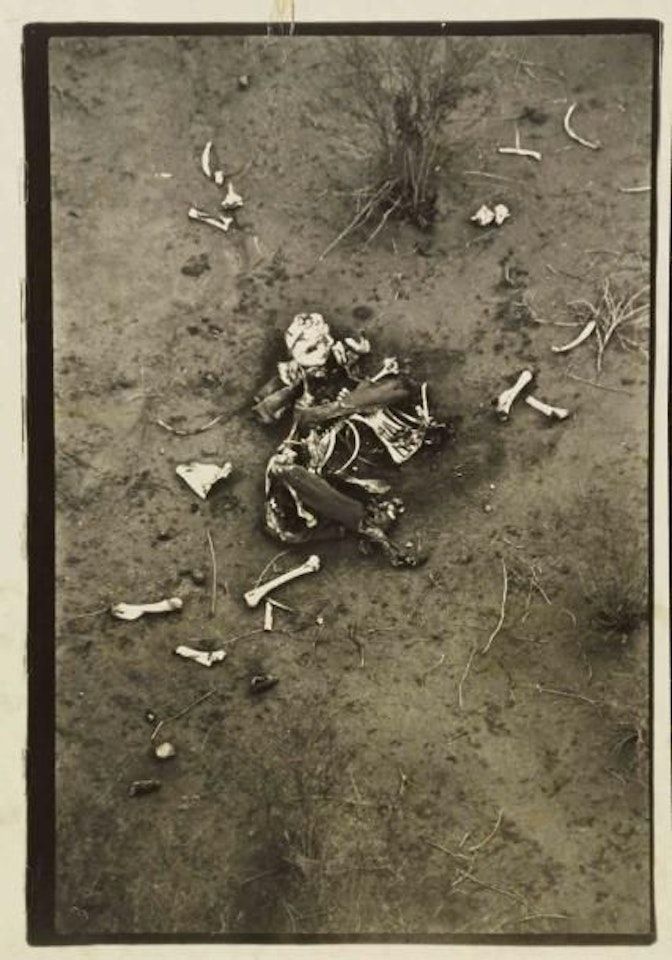 «The end of the game» by Peter Beard