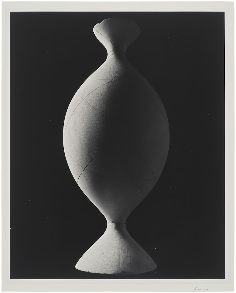 Mathematical Form: Surface 0004 (Onduloid: a surface of revolution with constant non-zero mean curvature) by Hiroshi Sugimoto
