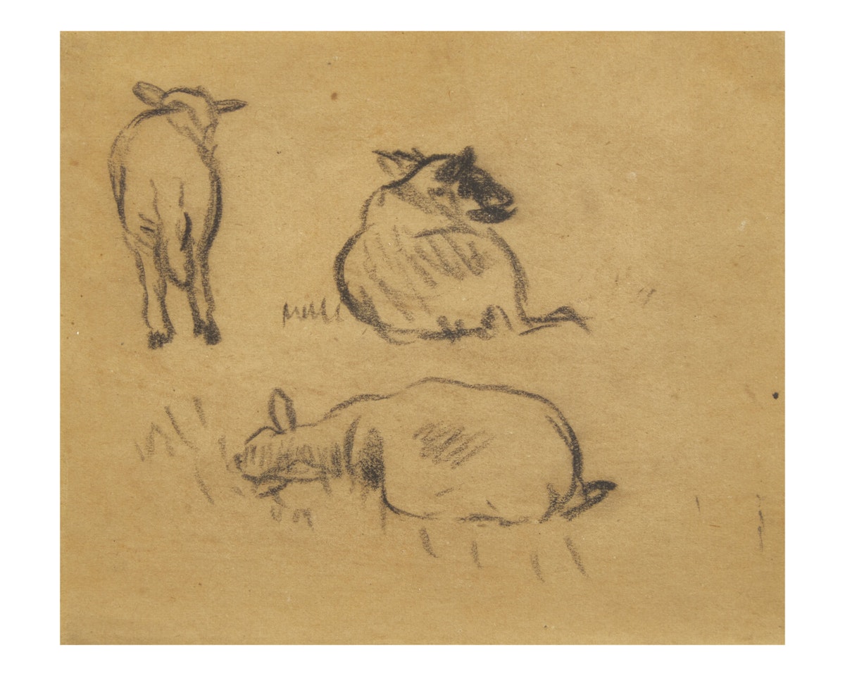 Sheep Studies by William Glackens