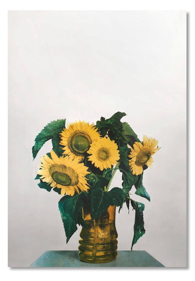 "Girasoli" by Michelangelo Pistoletto