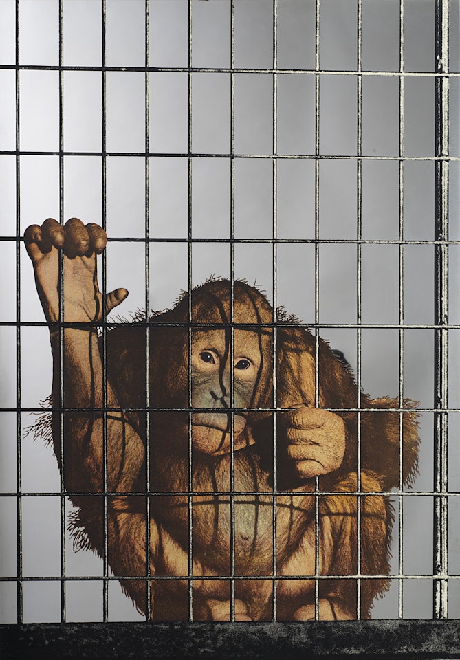 "Monkey" by Michelangelo Pistoletto