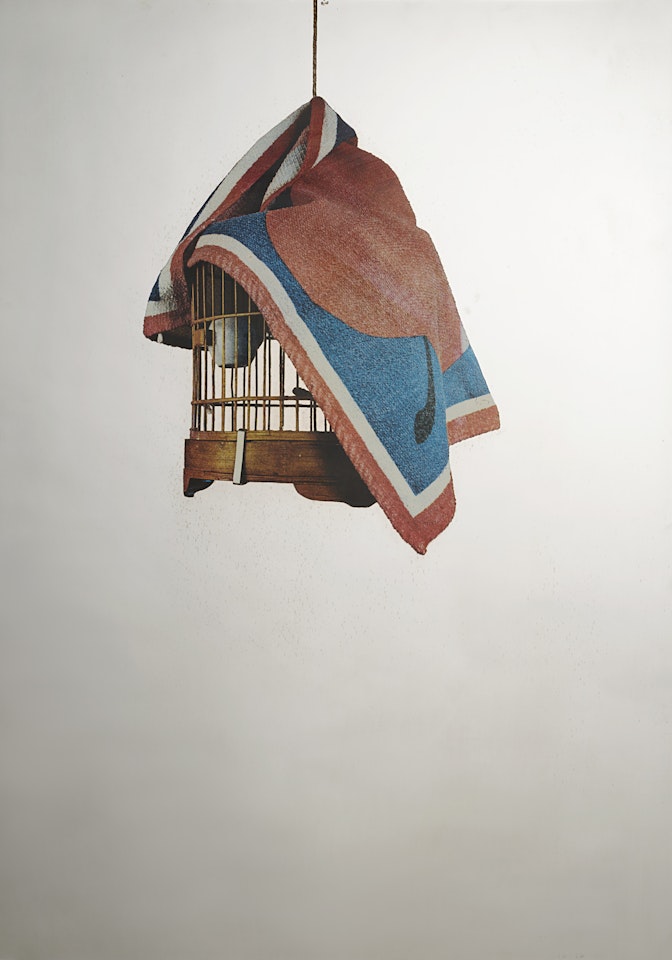 "The Cage" by Michelangelo Pistoletto