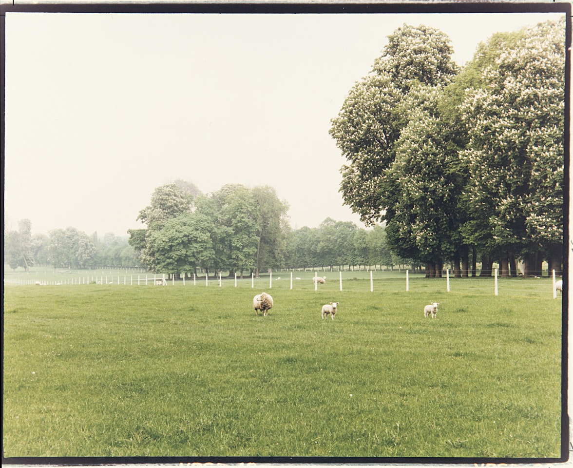 Versailles 1985 by Luigi Ghirri