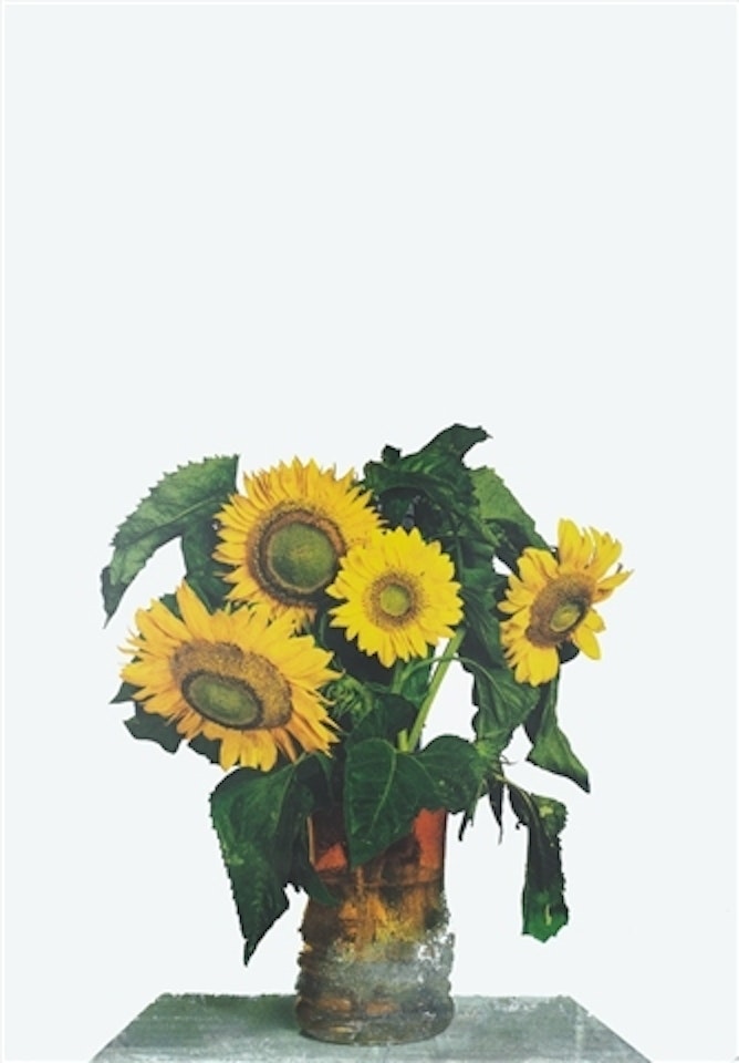 "Sunflowers" by Michelangelo Pistoletto
