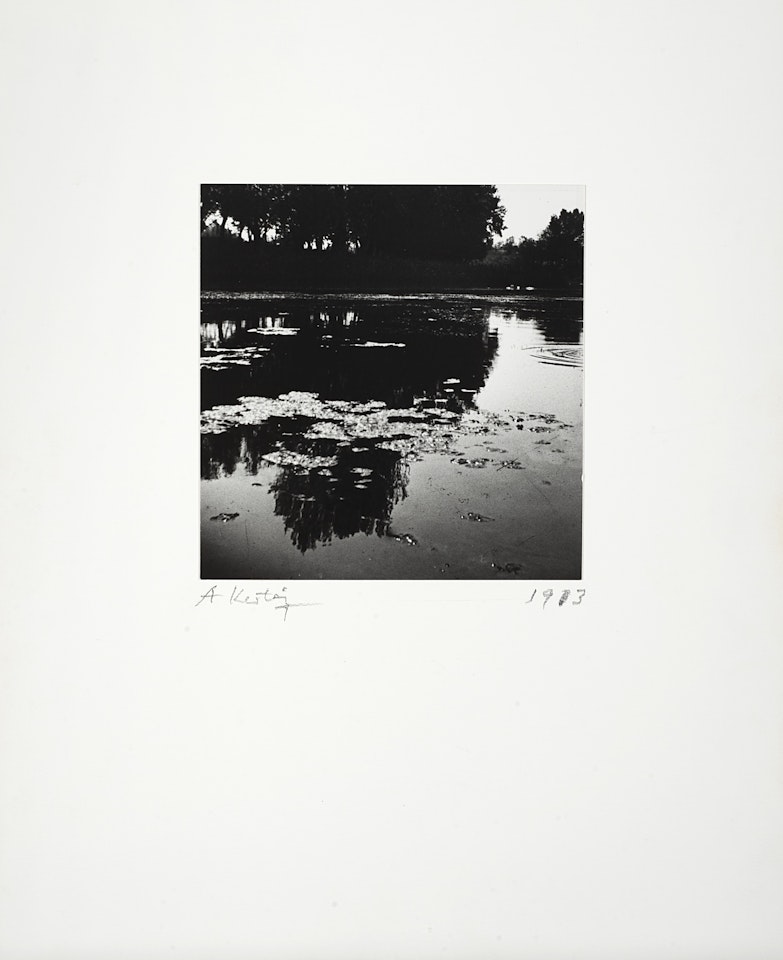 Pond with reflection by André Kertész