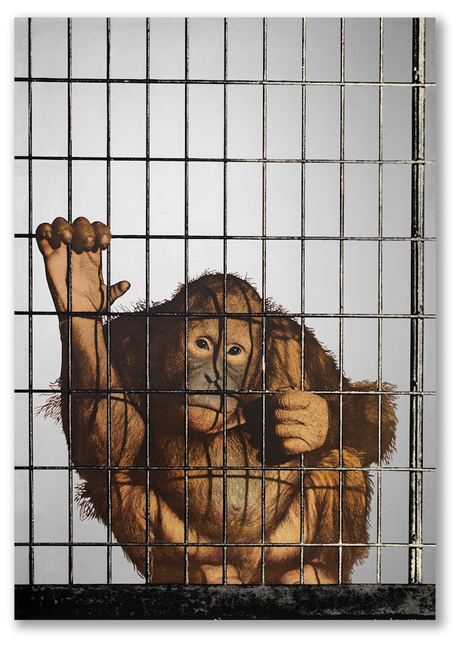 "Monkey" by Michelangelo Pistoletto