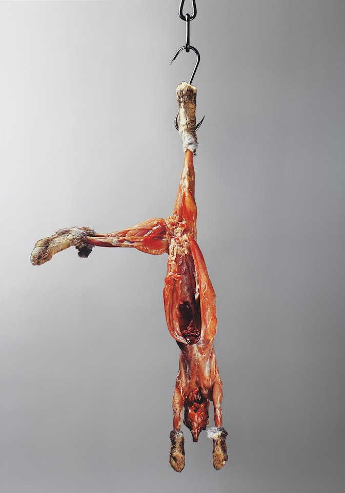 "Hanging Rabbit" by Michelangelo Pistoletto