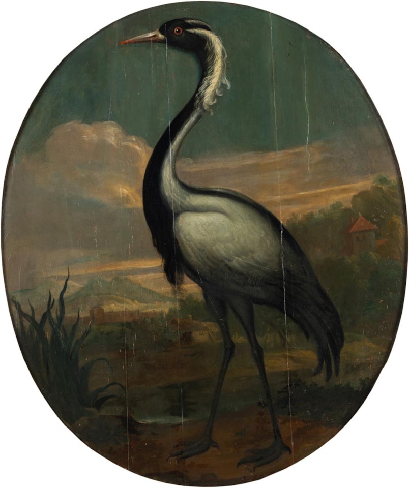 heron by Italian School