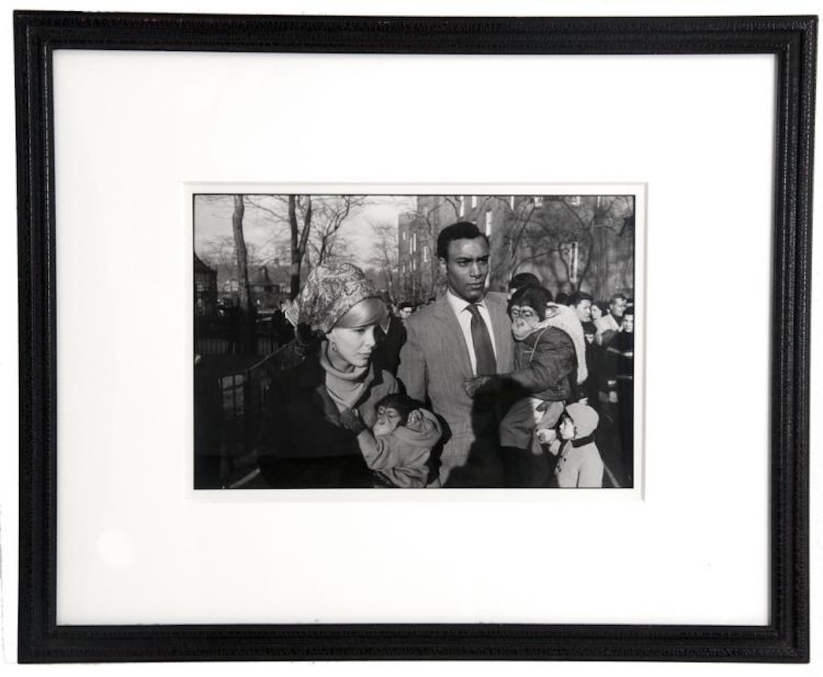 CENTRAL PARK ZOO NY by Garry Winogrand
