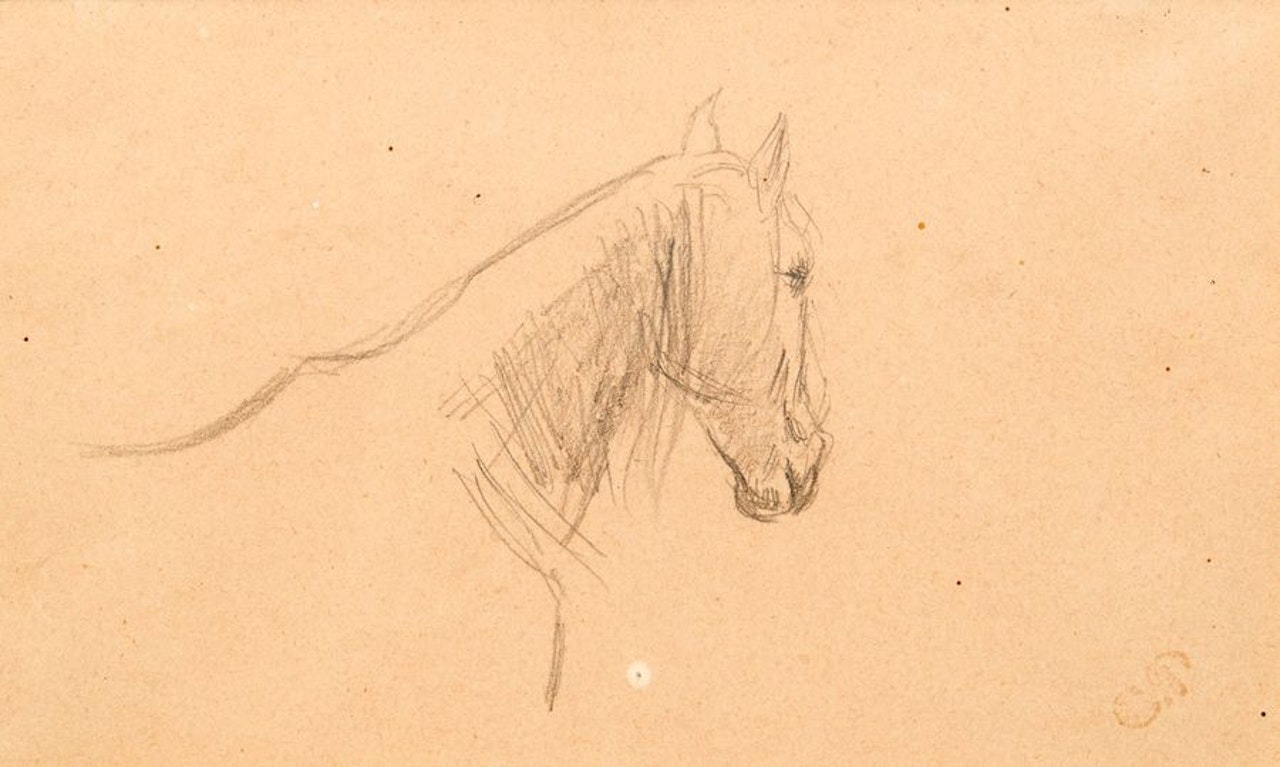 Horse"s head by Camille Pissarro