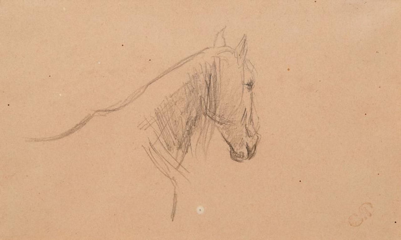 Horse"s head by Camille Pissarro