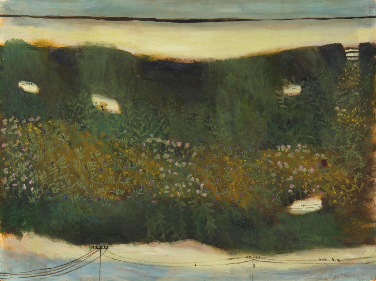 Up the track by Mary Newcomb