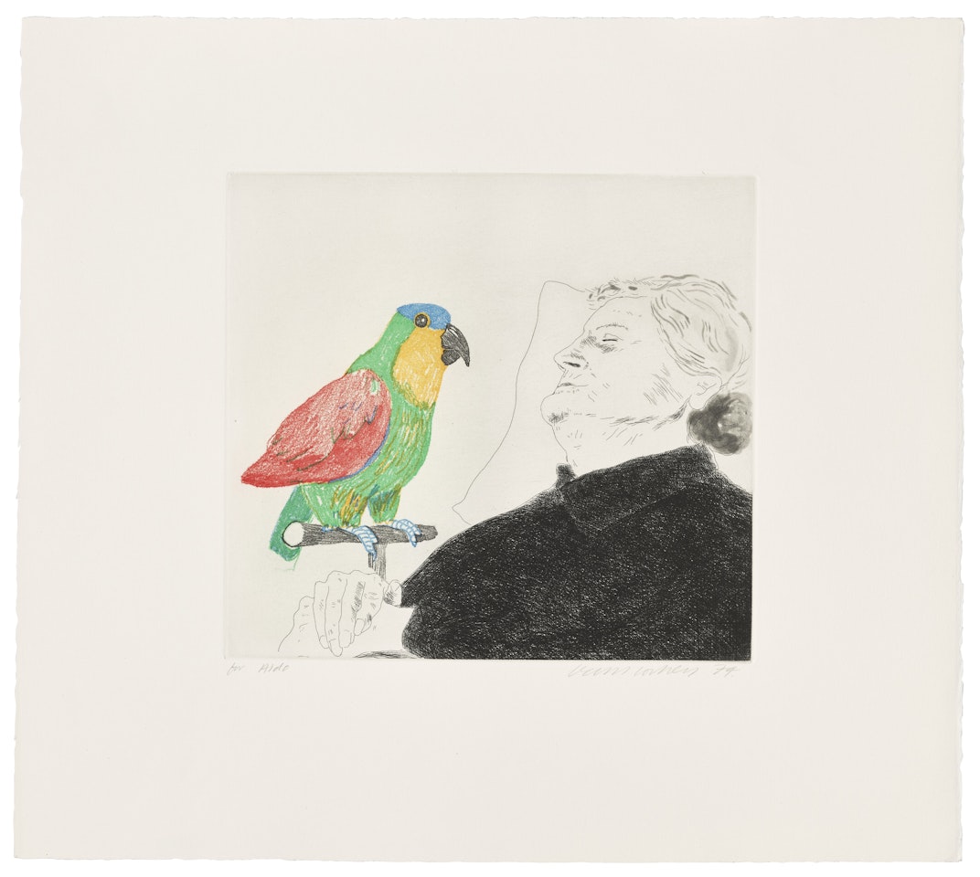 Félicité sleeping, with parrot: illustration for "A simple heart" of Gustave Flaubert by David Hockney