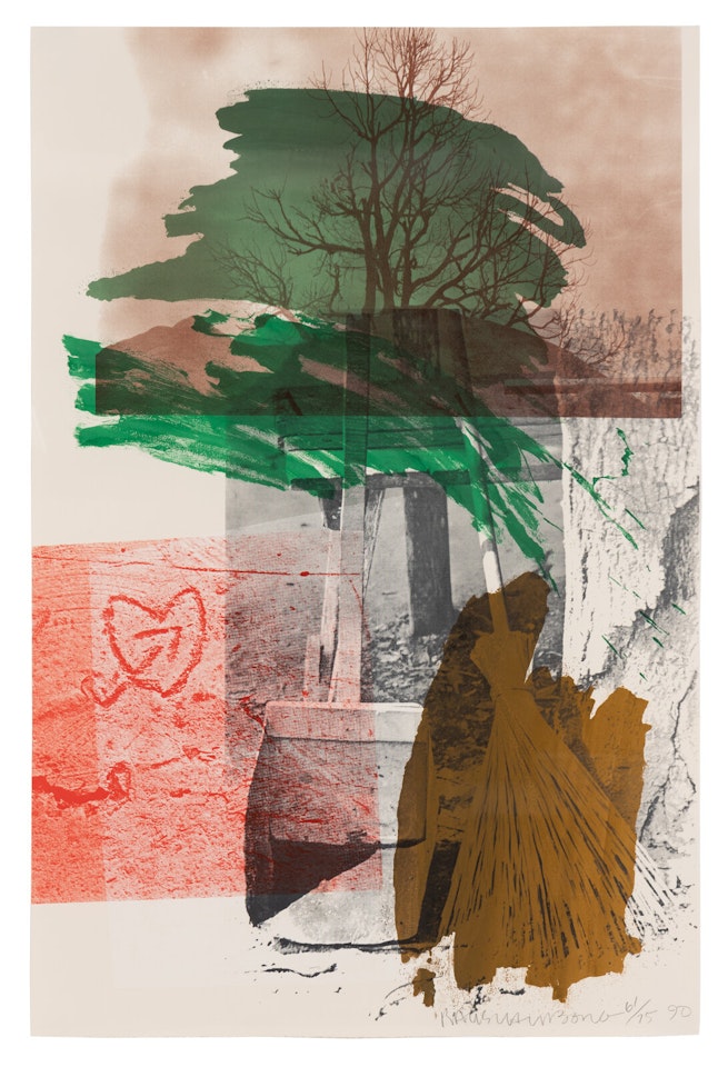Earth Day by Robert Rauschenberg
