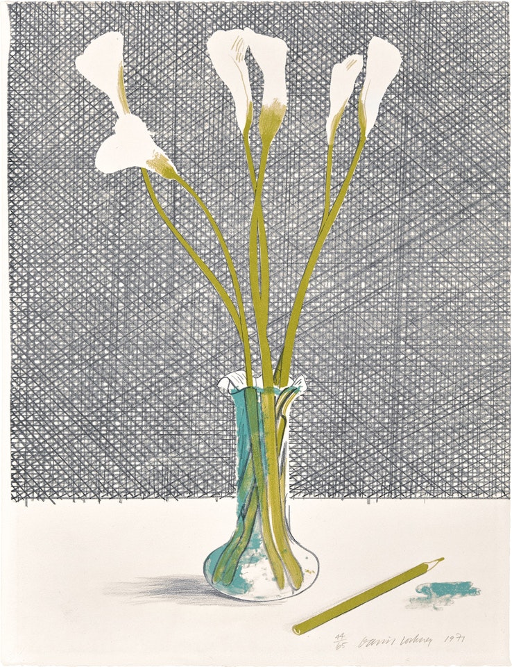 Lillies, from Europäische Graphik Mappe VII (European Prints Portfolio VII) (S.A.C. 118) by David Hockney