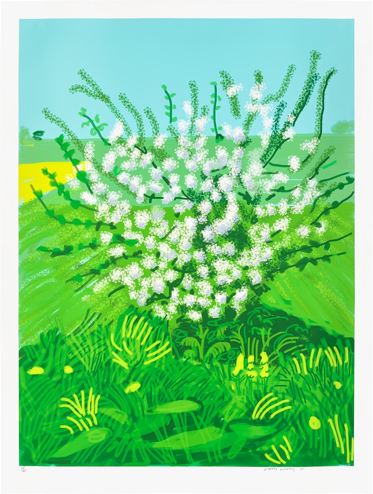The Arrival of Spring in Woldgate, East Yorkshire in 2011 (twenty eleven) - 30 April, 2011 by David Hockney