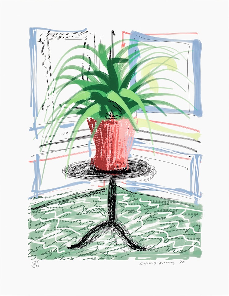 A Bigger Book, Art Edition C by David Hockney