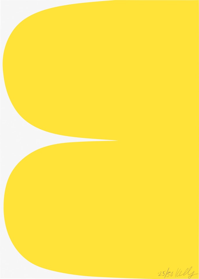 Yellow Curves by Ellsworth Kelly