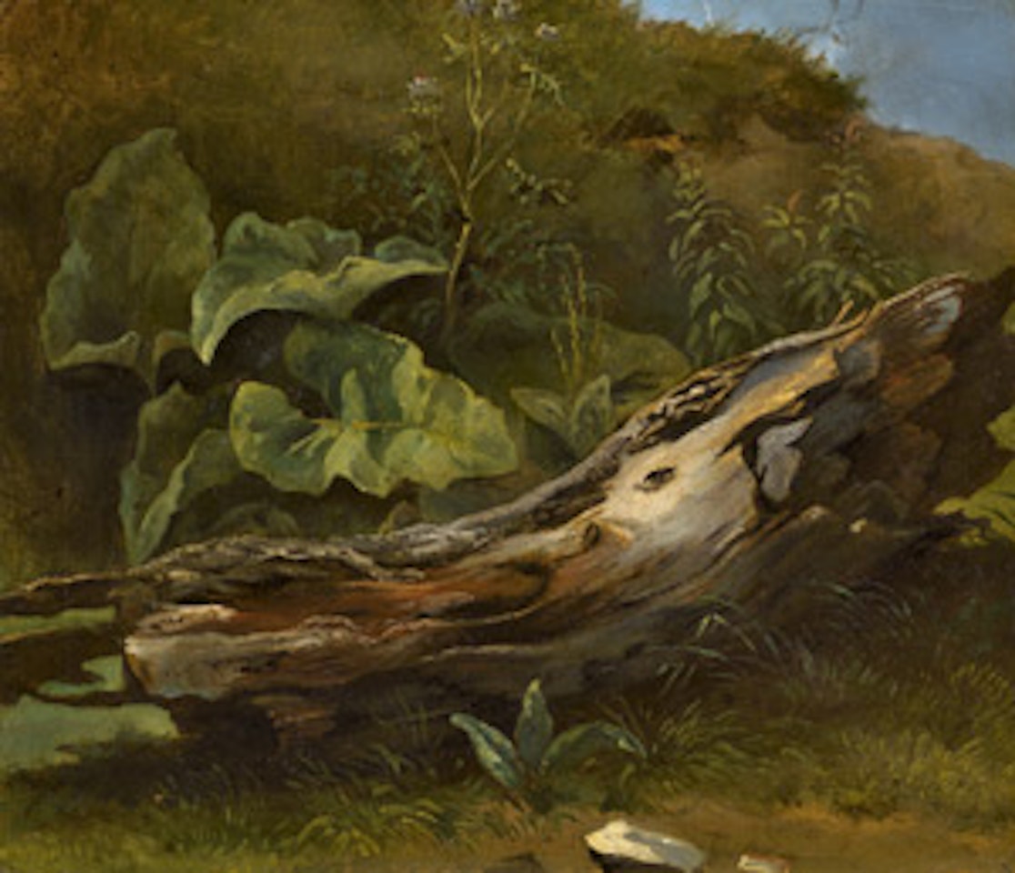 Gnarled tree stump with leafy plants by German School