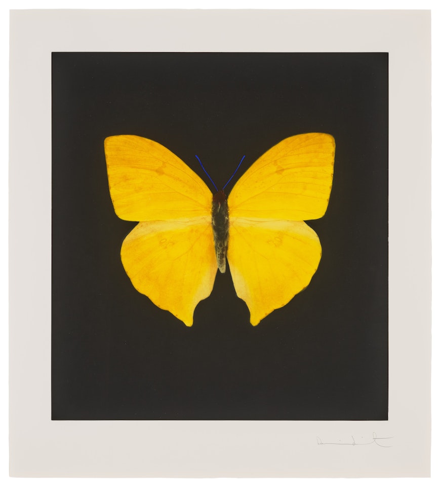 Plate 1, from: The Souls on Jacob"s Ladder Take Their Flight by Damien Hirst