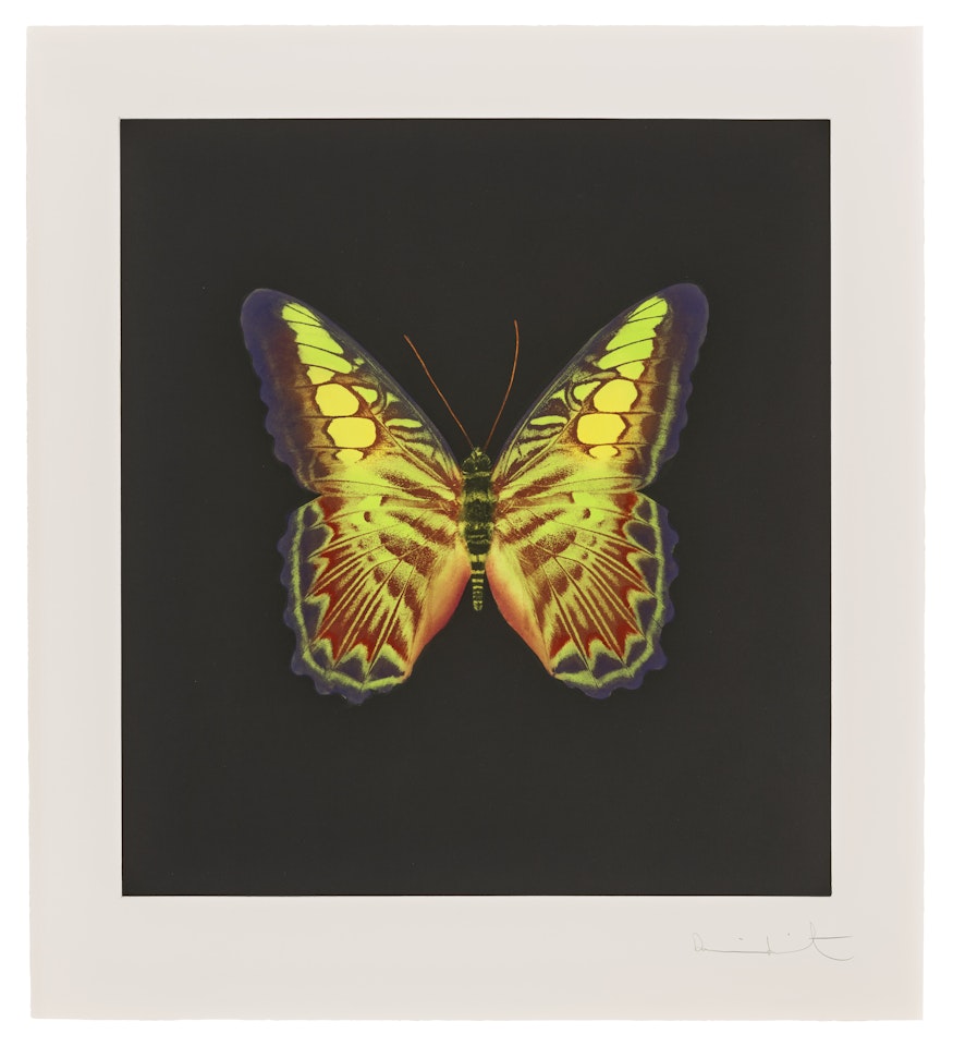 Plate 2, from: The Souls on Jacob"s Ladder Take Their Flight by Damien Hirst