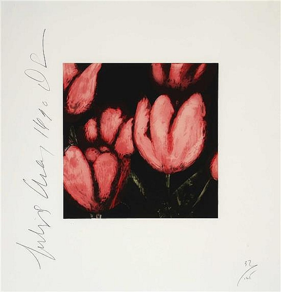 Pomegranate and Tulips: Two Works by Donald Sultan