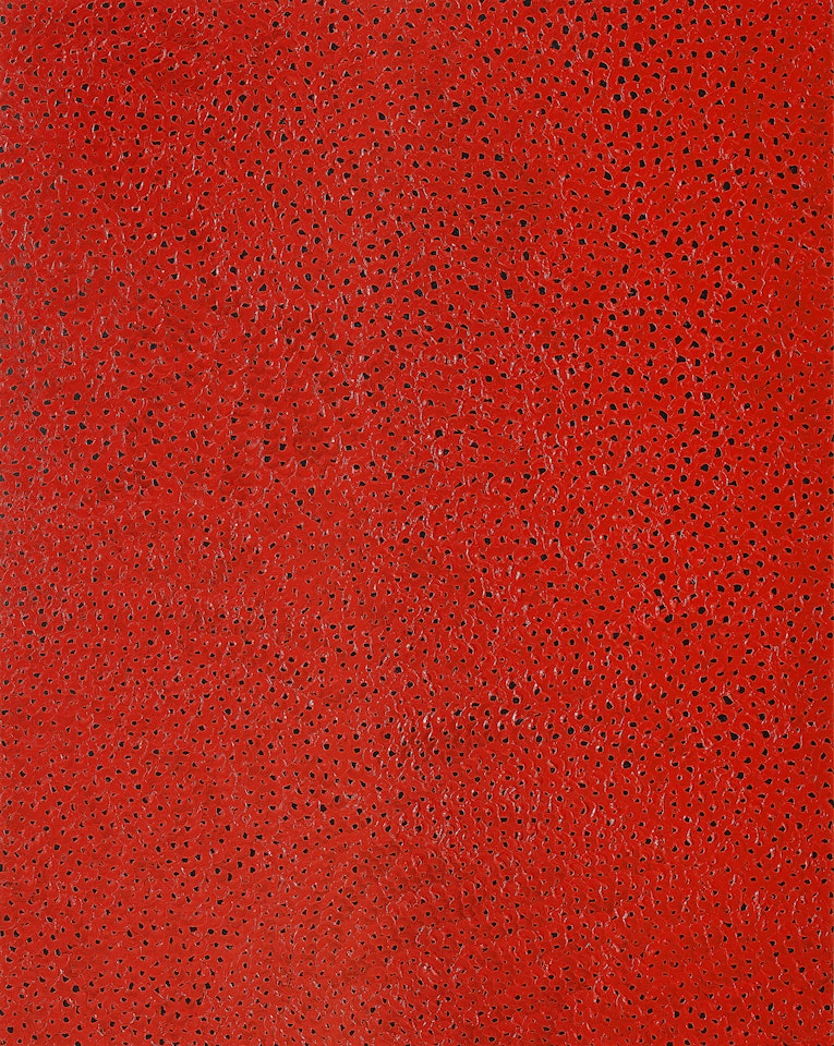 INFINITY-NETS (SHSOWX) by Yayoi Kusama