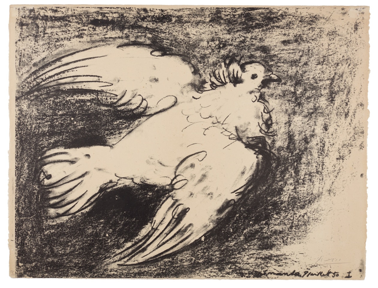 La Colombe volante, fond noir by Pablo Picasso