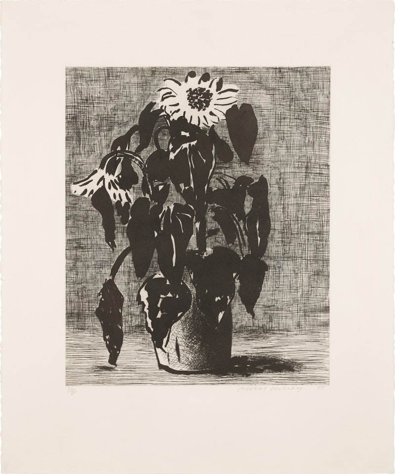 Sunflower I by David Hockney
