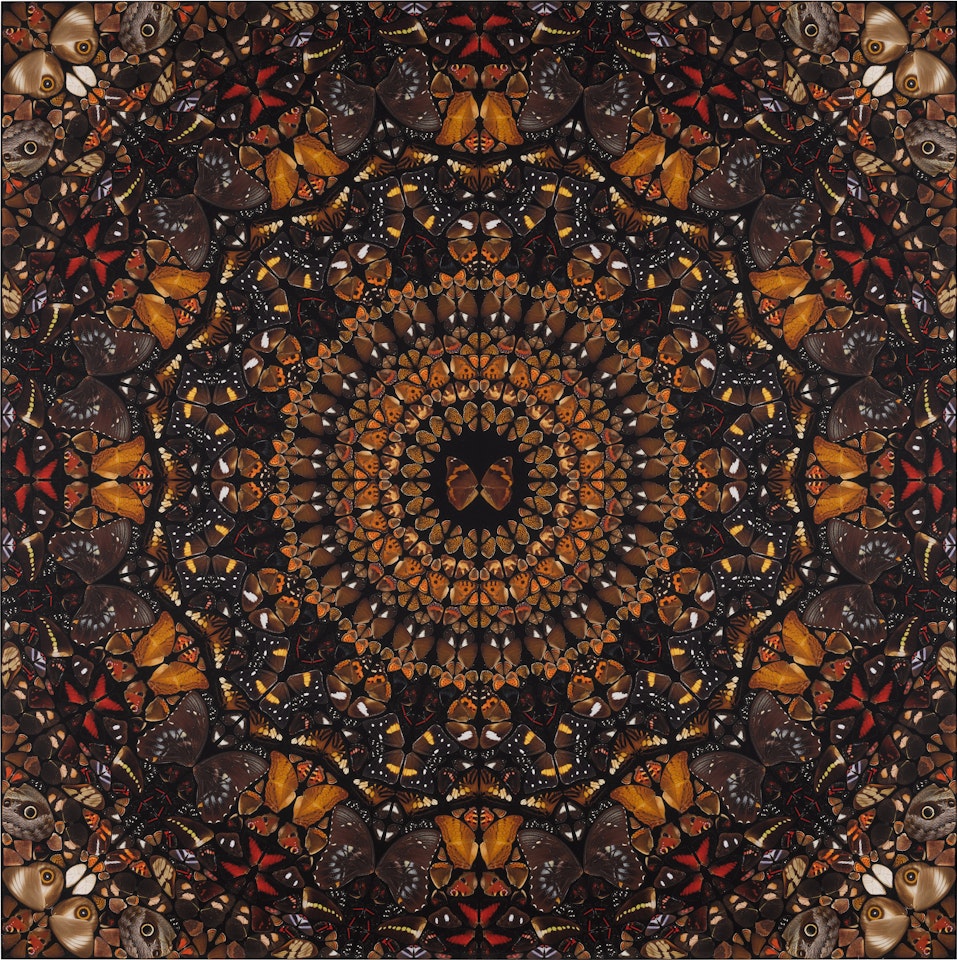 Earth (H6-6) , from The Elements by Damien Hirst
