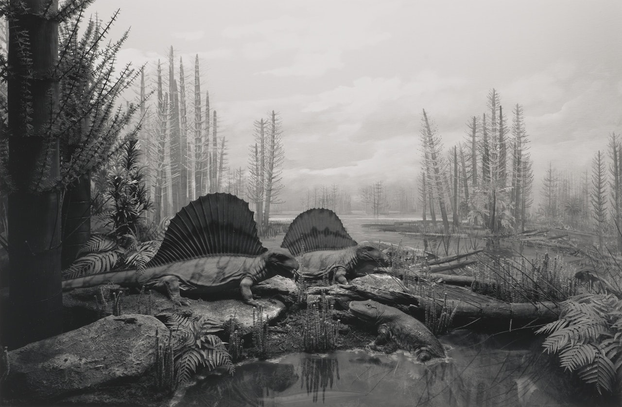Permian Land by Hiroshi Sugimoto