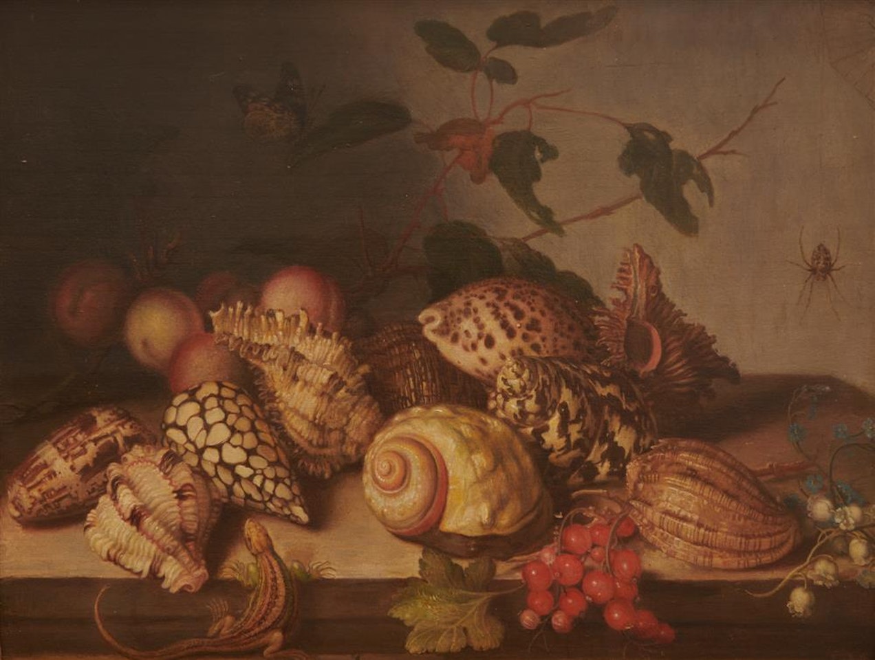 Sill Life with Shells, Fruit, and Insects by Dutch School