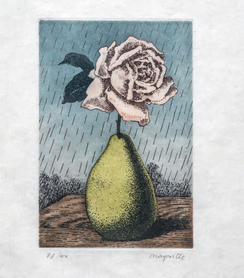 Untitled (Rose and pear) by René Magritte