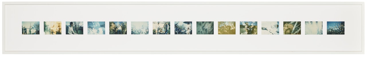 Untitled [Fifteen Polaroids] by Sigmar Polke
