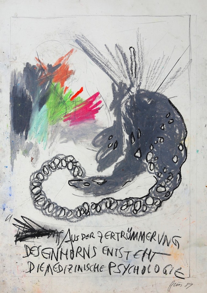 Aus der Zertrümmerung des Einhorns entsteht die medizinische Psychologie by Gunter Brus