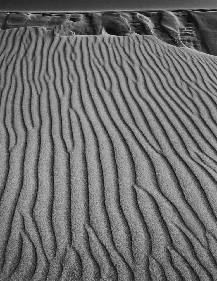 ‘Sand Dunes, Oceano, California" by Ansel Adams